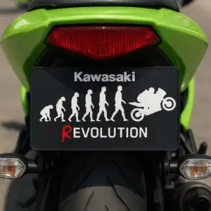 Placa revolution