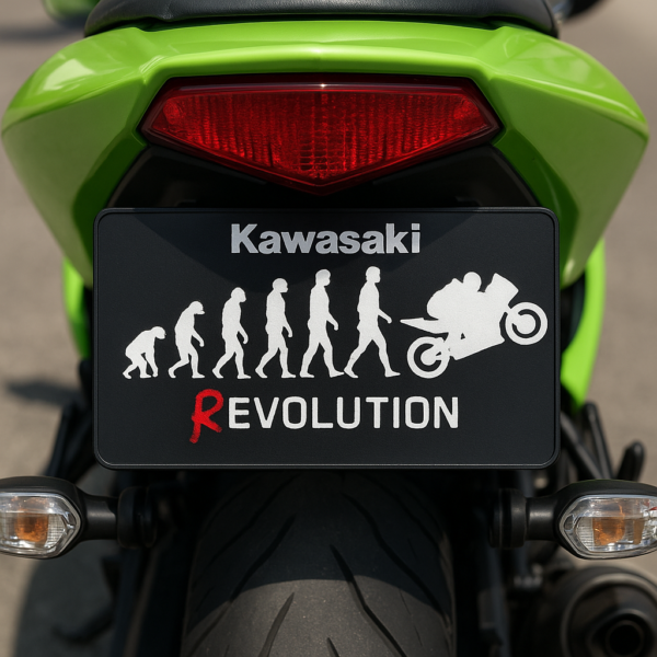 Placa revolution